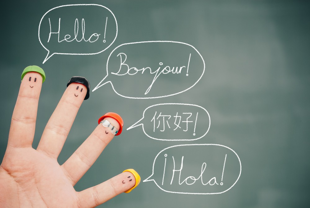 web development - multilingual